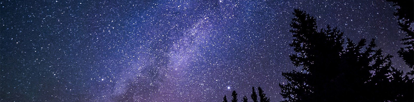 A view of the Milky Way at night over treetops