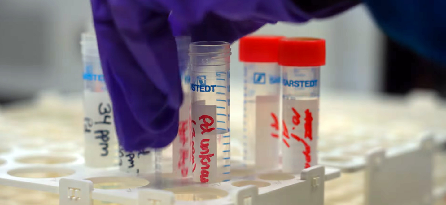 A purple lab glove picking up a marked test tube
