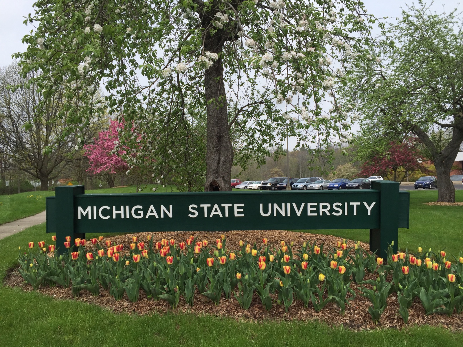 MSU monument sign in front of St. Andrews building