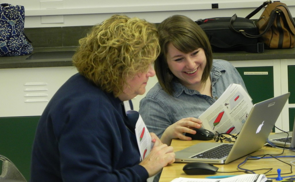 Two female teachers working on laptop