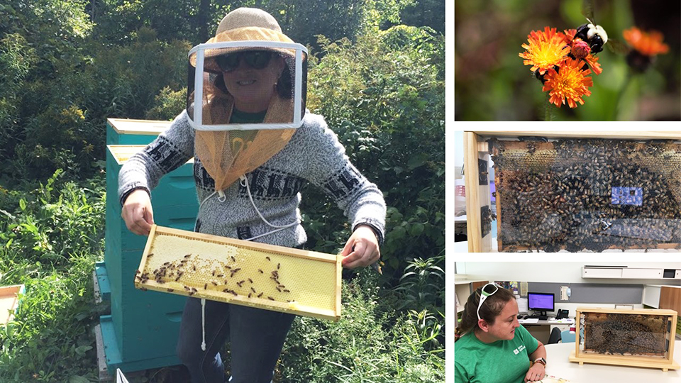 Image of Dow Gardens entomologist Elly Maxwell.