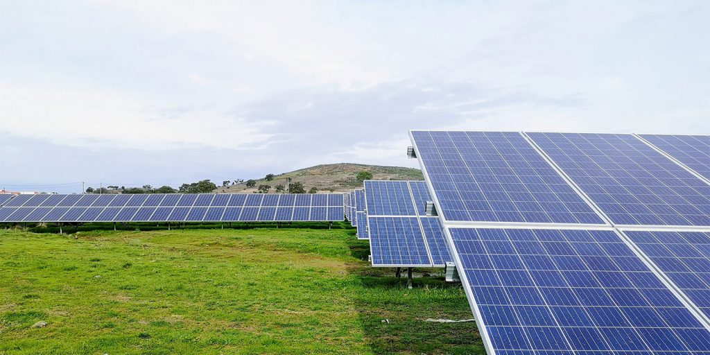 Image of Solar Panels in Field