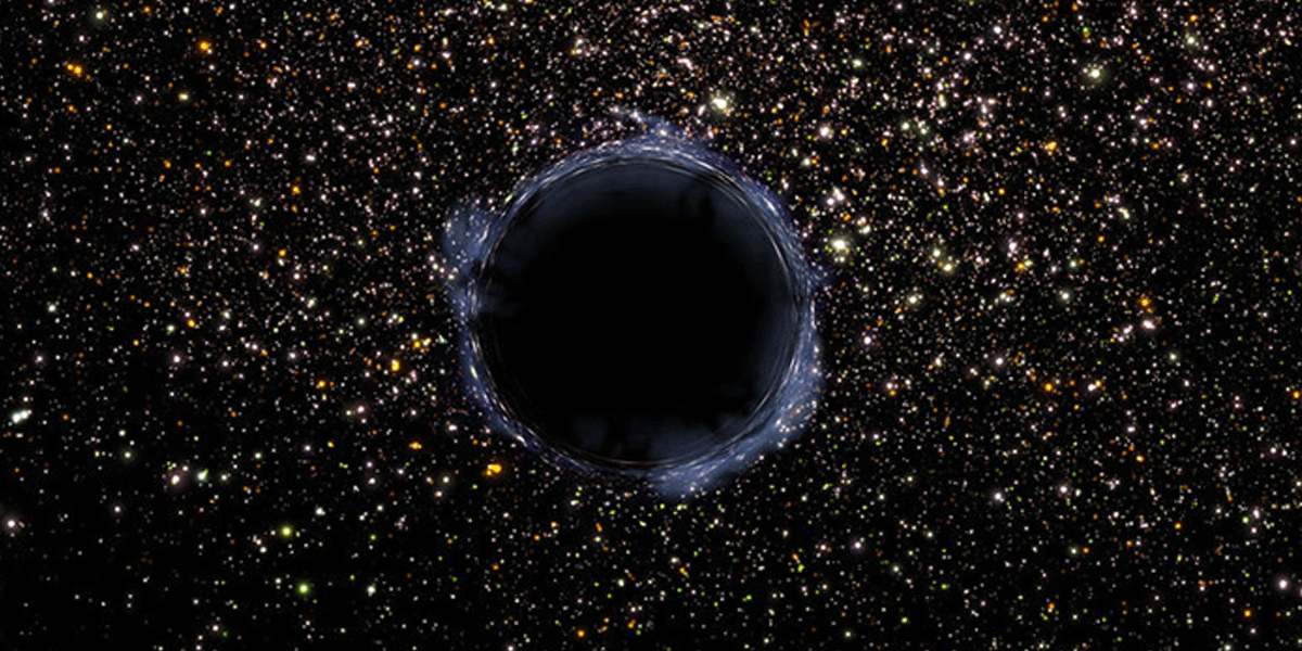 Black Holes and Supernovae: What’s Left When the Largest Stars Die